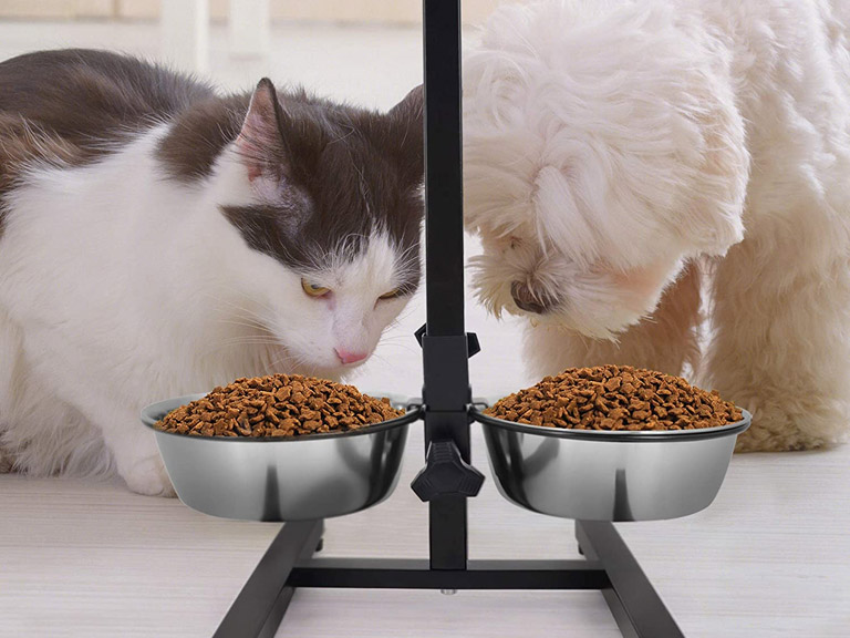 Set Platos Ajustable para Mascotas de Metal Importclick