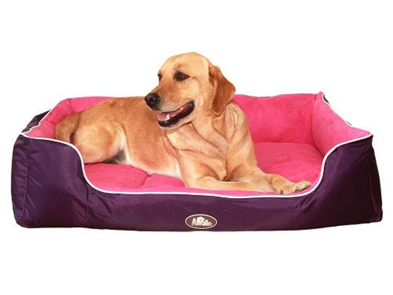 Cama Reversible Perro S Morado
