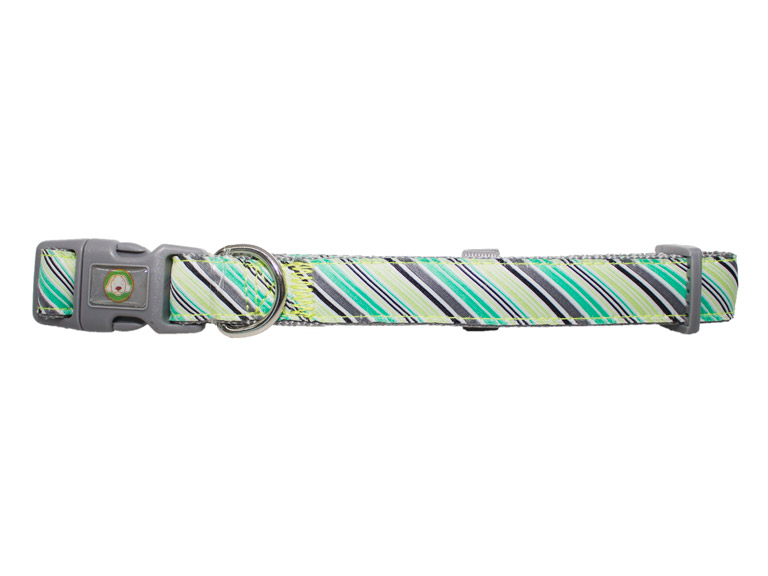 Collar Perro Diagonal S Verde