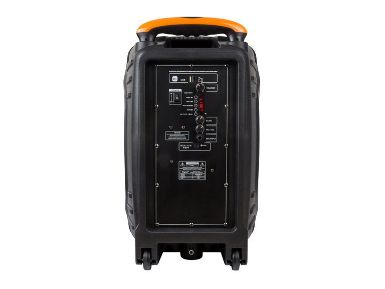 Amplificador Karaoke 12 L