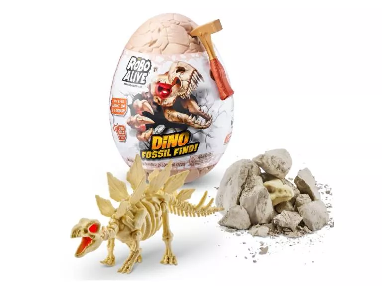 Huevo Dino Fossil