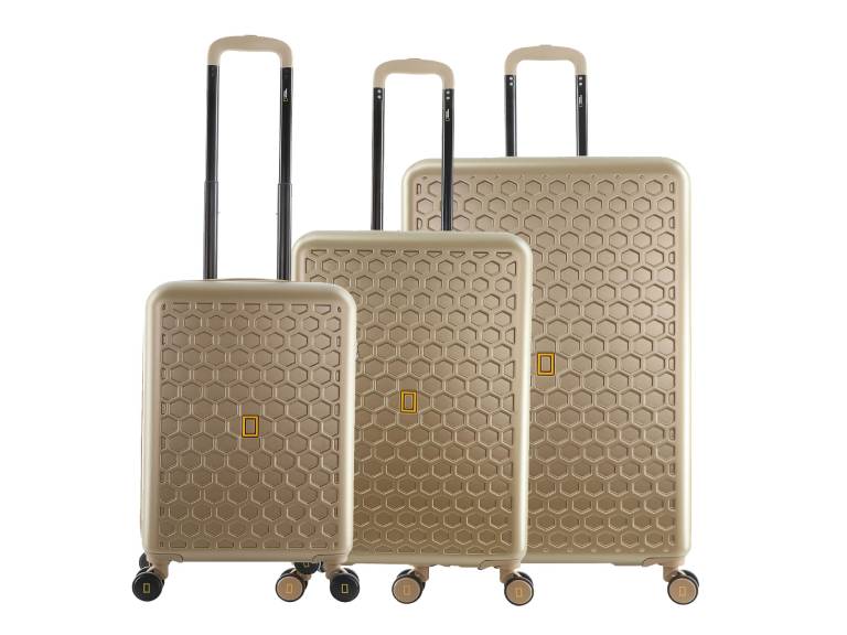 Set de Maletas Natgeo Swirl Oro