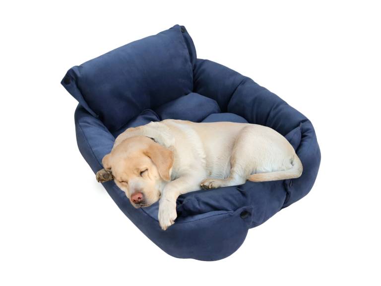 Cama para mascotas 68x50x40 Azul-R6159