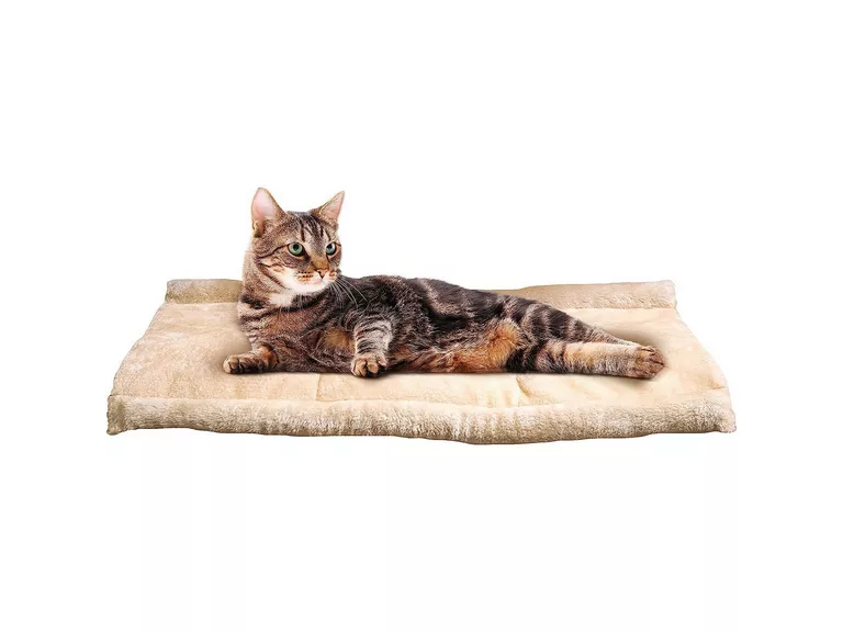 Cama Mascotas Túnel Gatos Lavable 2 En 1